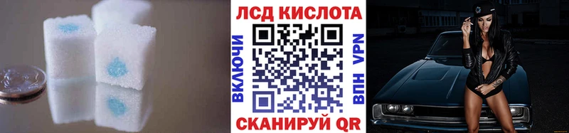 ЛСД экстази ecstasy  где можно купить   Новокубанск 