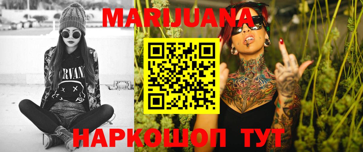 Каннабис сатива Новокубанск