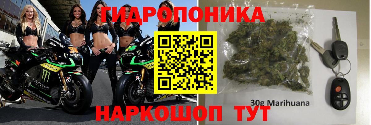 Бошки Шишки сатива  Новокубанск  Марихуана VHQ 